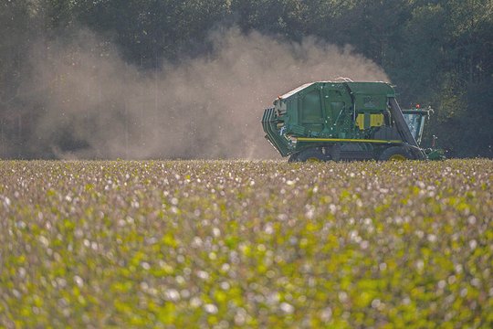 Cotton groups set Georgia info meetings about Farm Bill