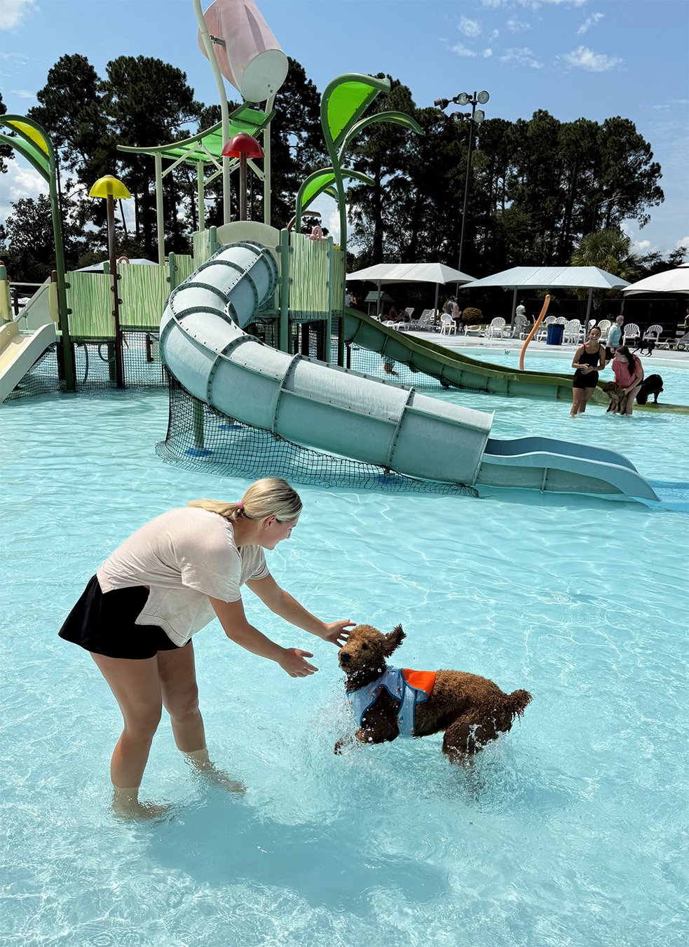 Closing out the summer season with 'Doggy Day' at Splash - Statesboro ...
