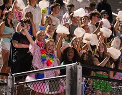 South Effingham football