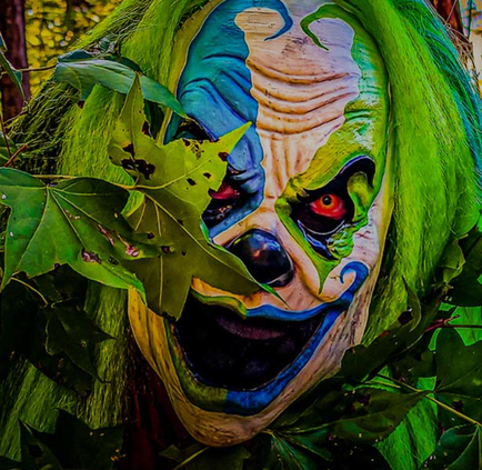 wicked south haunted forest