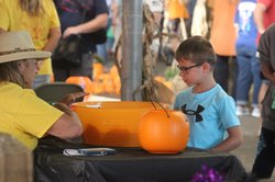 Pumpkin Patch this Saturday