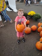 pumpkin patch 2025 - 1