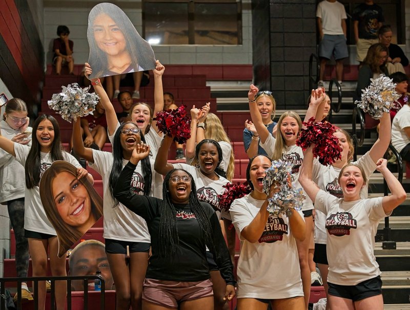 South Effingham Volleyball