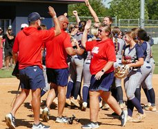Effingham County Softball