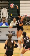 Volleyball