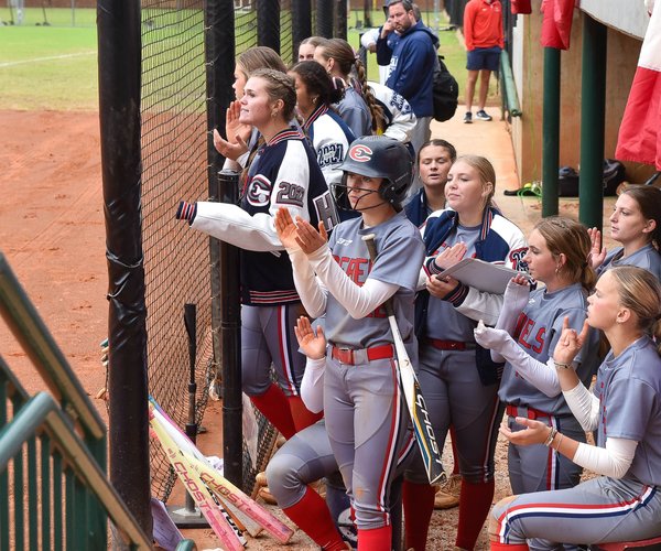 Effingham County Softball