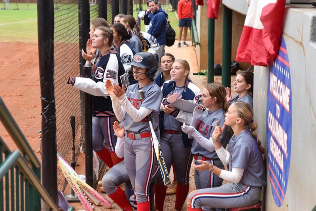 Effingham County Softball