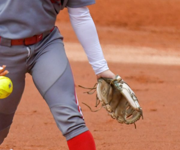 Effingham County Softball