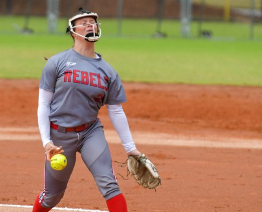 Effingham County Softball