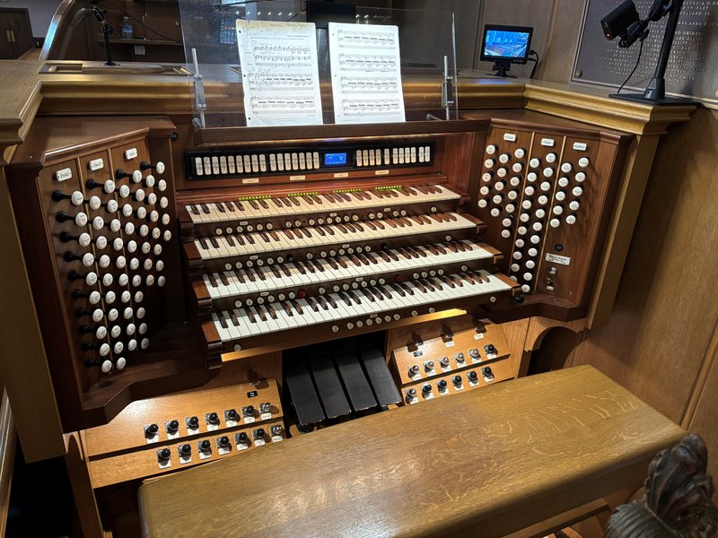 UMC organ