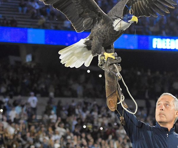 Freedom II makes her Paulson debut