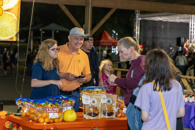 tree lighting market
