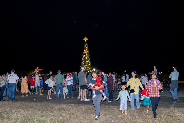 tree lighting market