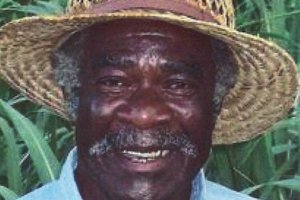 Mr. Lee Arthur Johnson