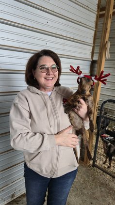 goatslodge shannon lodge