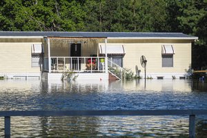 Idalia File Photo.jpg