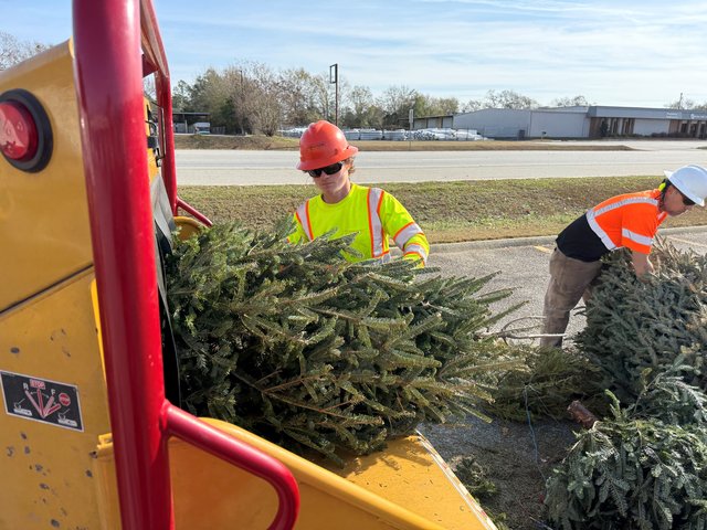 Folks recycle Christmas trees at 'Bring One for the Chipper' event