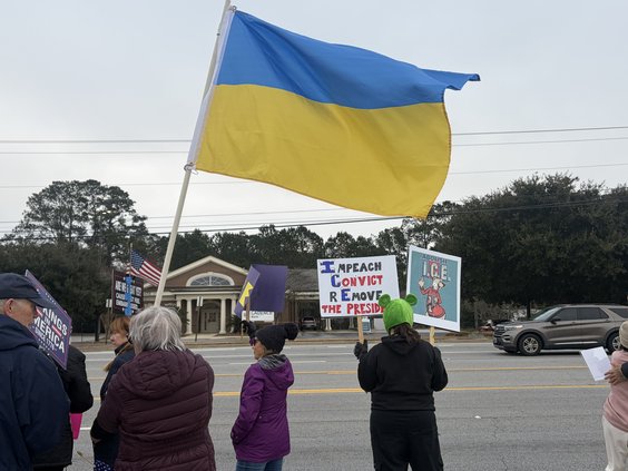 ice protests photo 4