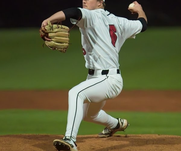 South Effingham baseball