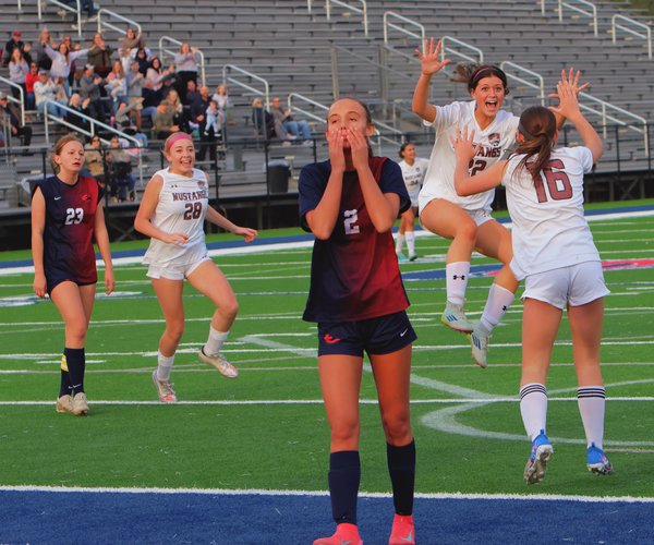 South Effingham Girls Soccer