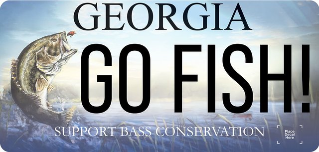 Georgia Department of Natural Resources now offering 'Bass' conservation license plates for purchase