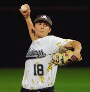 South Effingham baseball