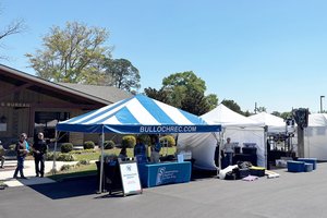 Festival of the Arts