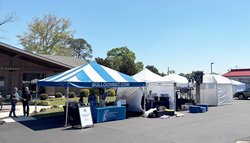 Festival of the Arts