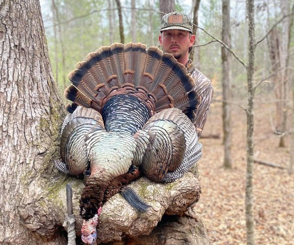 TurkeySeason.jpg