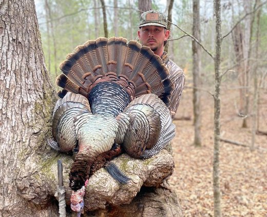 TurkeySeason.jpg