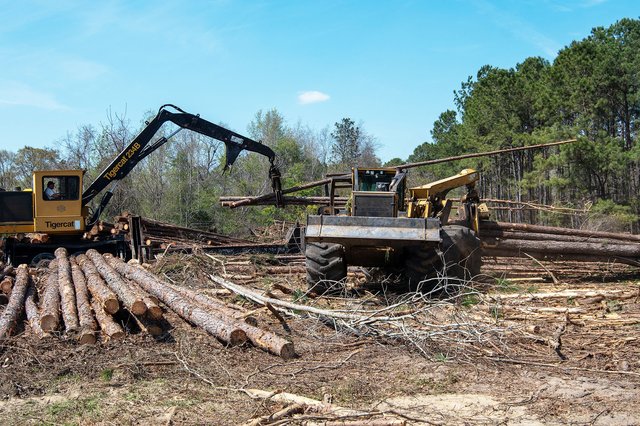 Aftermath of southeast Georgia mill closures