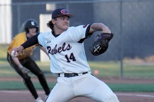 Effingham County Baseball