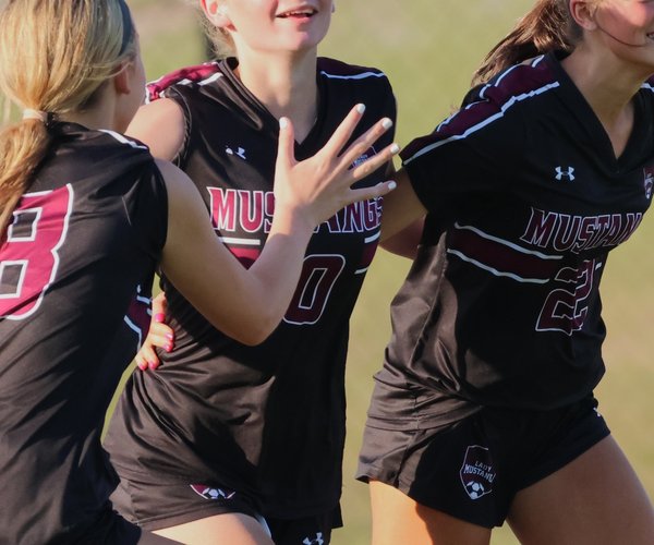 South Effingham Girls Soccer