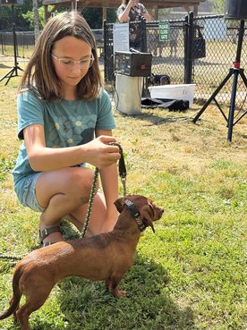 Furry friends put on a show at 'Hogs for Dogs'