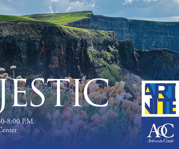 An evening of local art and music planned