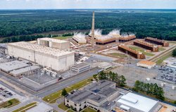 Hatch Plant.jpg