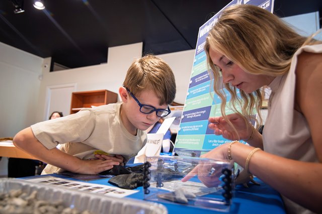 Shark Week swims into Georgia Southern Museum