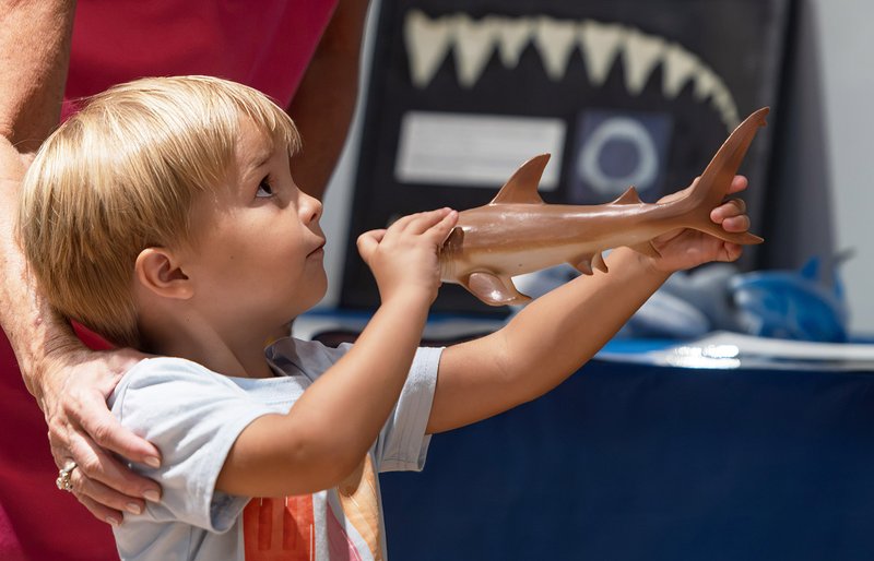 Shark Week