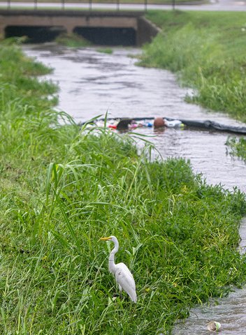 Boro moving forward with almost $1 million, 85% grant-funded study of Little Lott's Creek