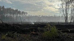 Buie Driggers Road Fire