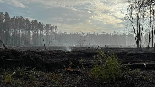 UPDATE: County restores burn ban after one woods fire lasts all week, scorches over 400 acres