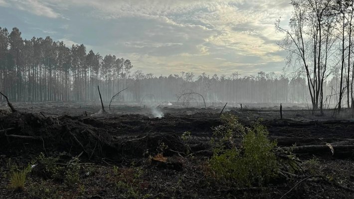 Buie Driggers Road Fire