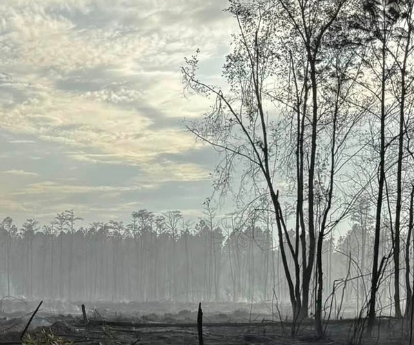 Buie Driggers Road Fire