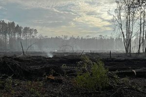 Buie Driggers Road Fire