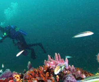 Gray's Reef.jpg