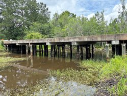 Cypress Lake