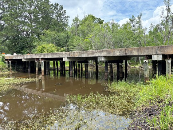 Cypress Lake