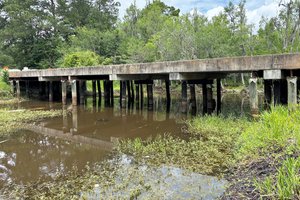 Cypress Lake
