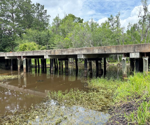 Cypress Lake