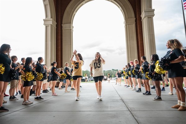 meet the wildcats 1